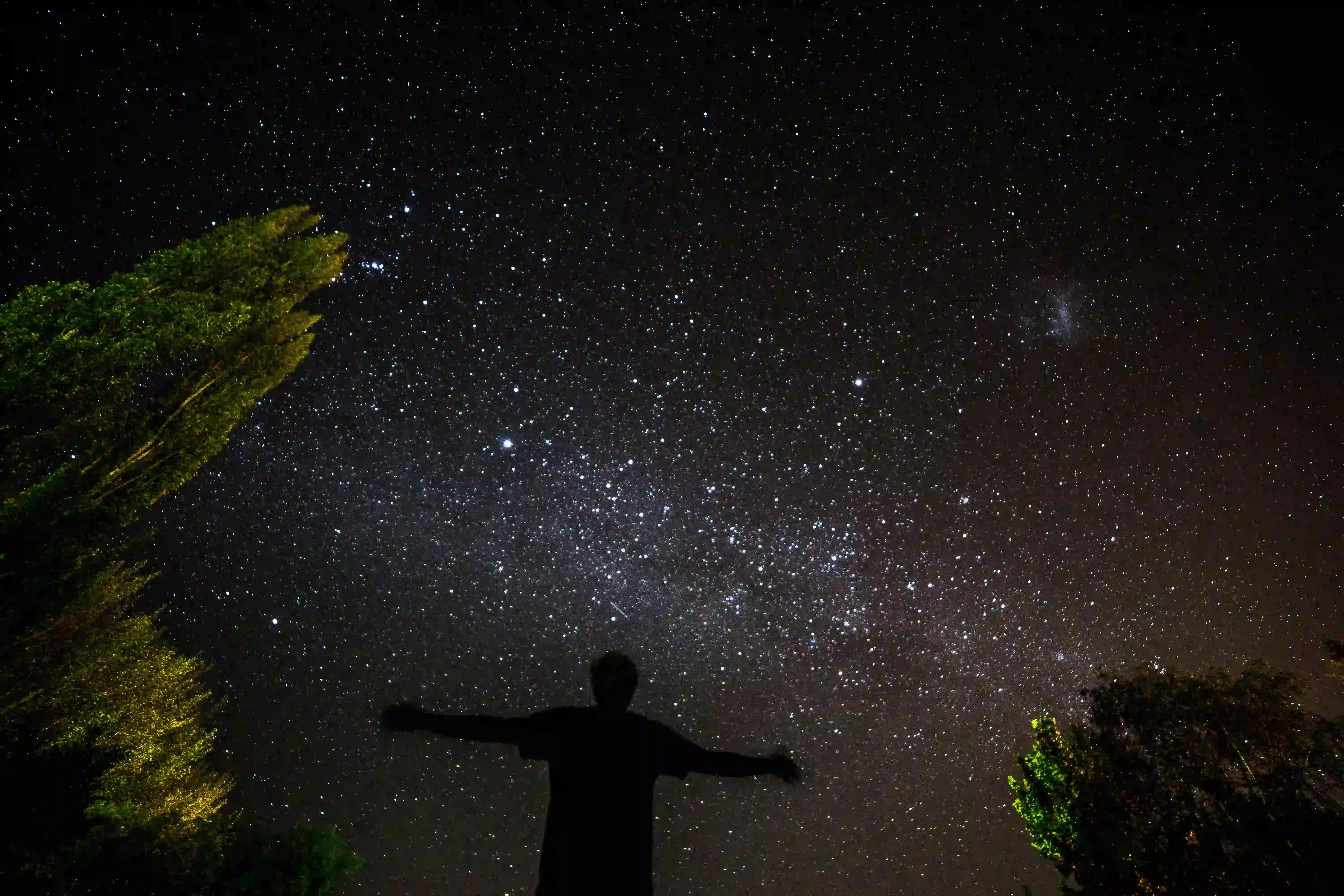 Man stargazing alone in a forest